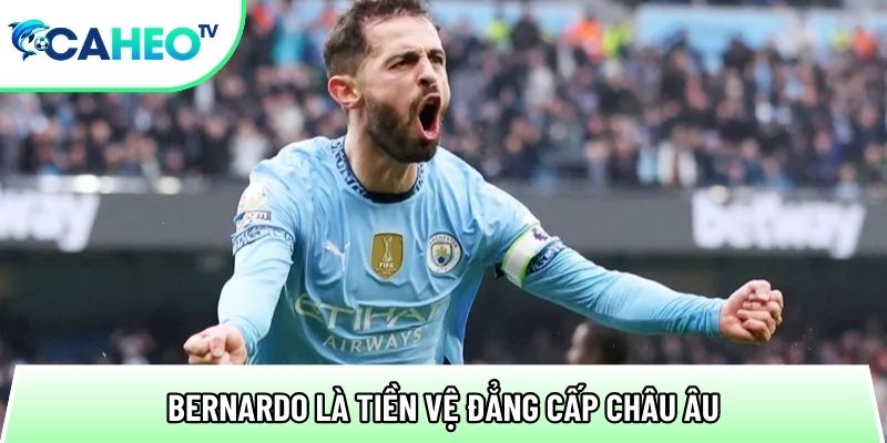 bernardo la tien ve dang cap chau au