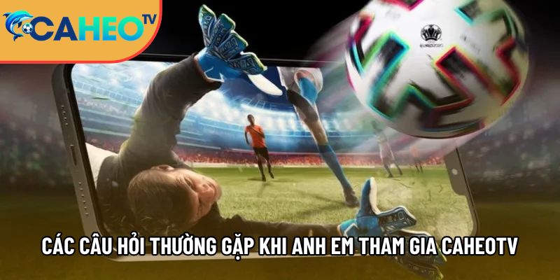 Caheotv trực tiếp bóng đá không lag, xem Cá Heo TV mọi nơi 11 cac cau hoi thuong gap khi anh em tham gia caheotv 1