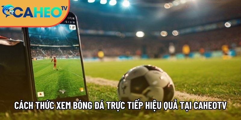 Caheotv trực tiếp bóng đá không lag, xem Cá Heo TV mọi nơi 8 cach thuc xem bong da truc tiep hieu qua tai caheotv 1