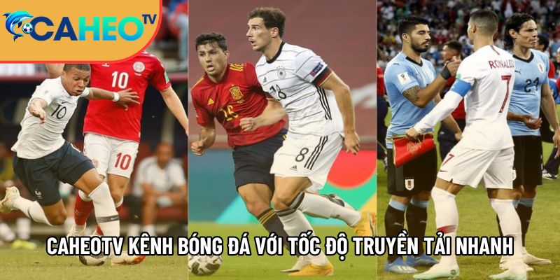 Caheotv trực tiếp bóng đá không lag, xem Cá Heo TV mọi nơi 1 caheotv kenh xem bong da voi toc do truyen tai nhanh chong 1