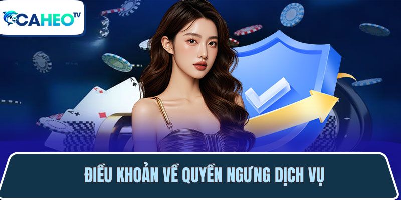 dieu khoan ve viec ngung cung cap dich vu 1