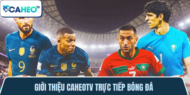 gioi thieu chung ve caheotvttbd 1