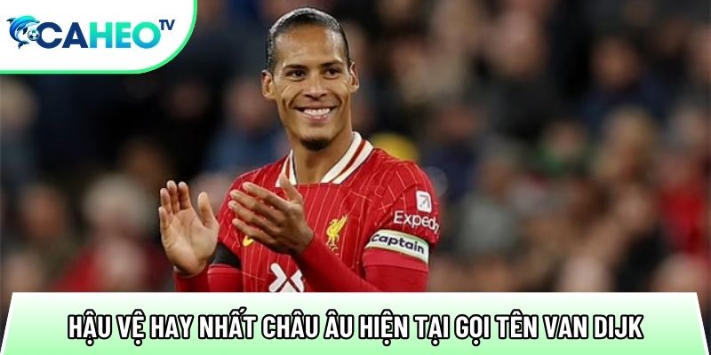 hau ve hay nhat chau au hien tai goi ten van dijk