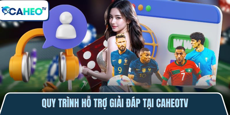 quy trinh cac buoc ho tro giai dap chi tiet 1