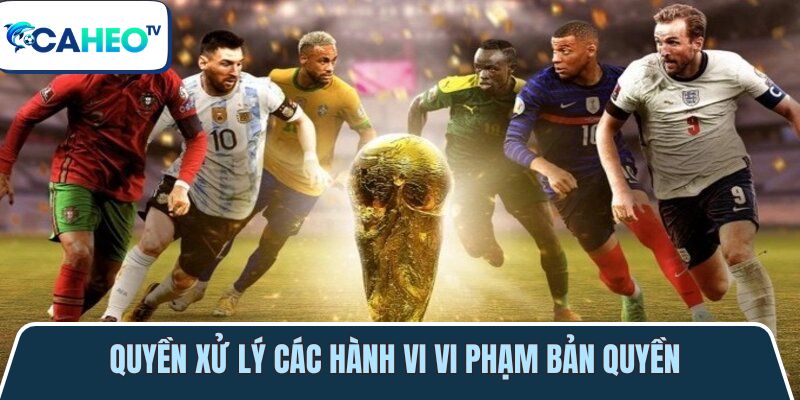 quyen xu ly cac hanh vi vi pham ban quyen 1