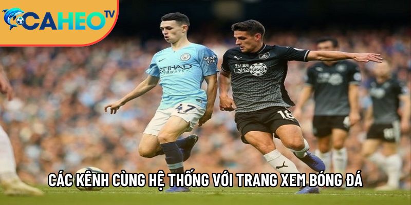 Caheotv trực tiếp bóng đá không lag, xem Cá Heo TV mọi nơi 7 tong hop cac kenh cung he thong voi trang xem truc tiep bong da caheotv 1