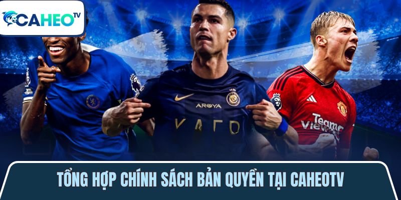 tong hop nhung chinh sach noi dung ban quyen tai caheotv 1