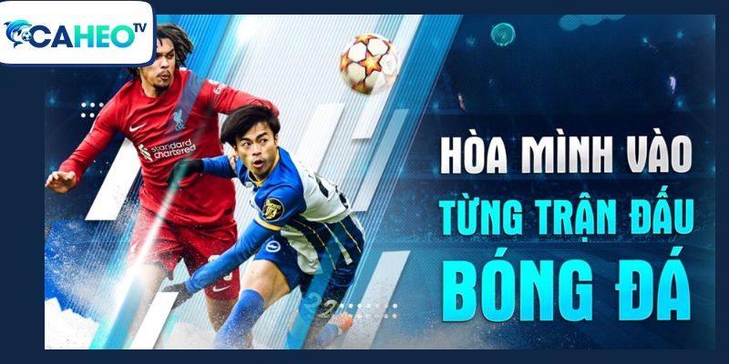 vai tro cua caheotv doi voi nguoi dung 1